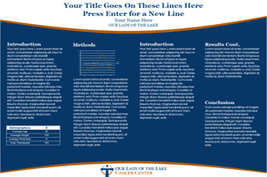 Franciscan Missionaries of Our Lady Health System Template #